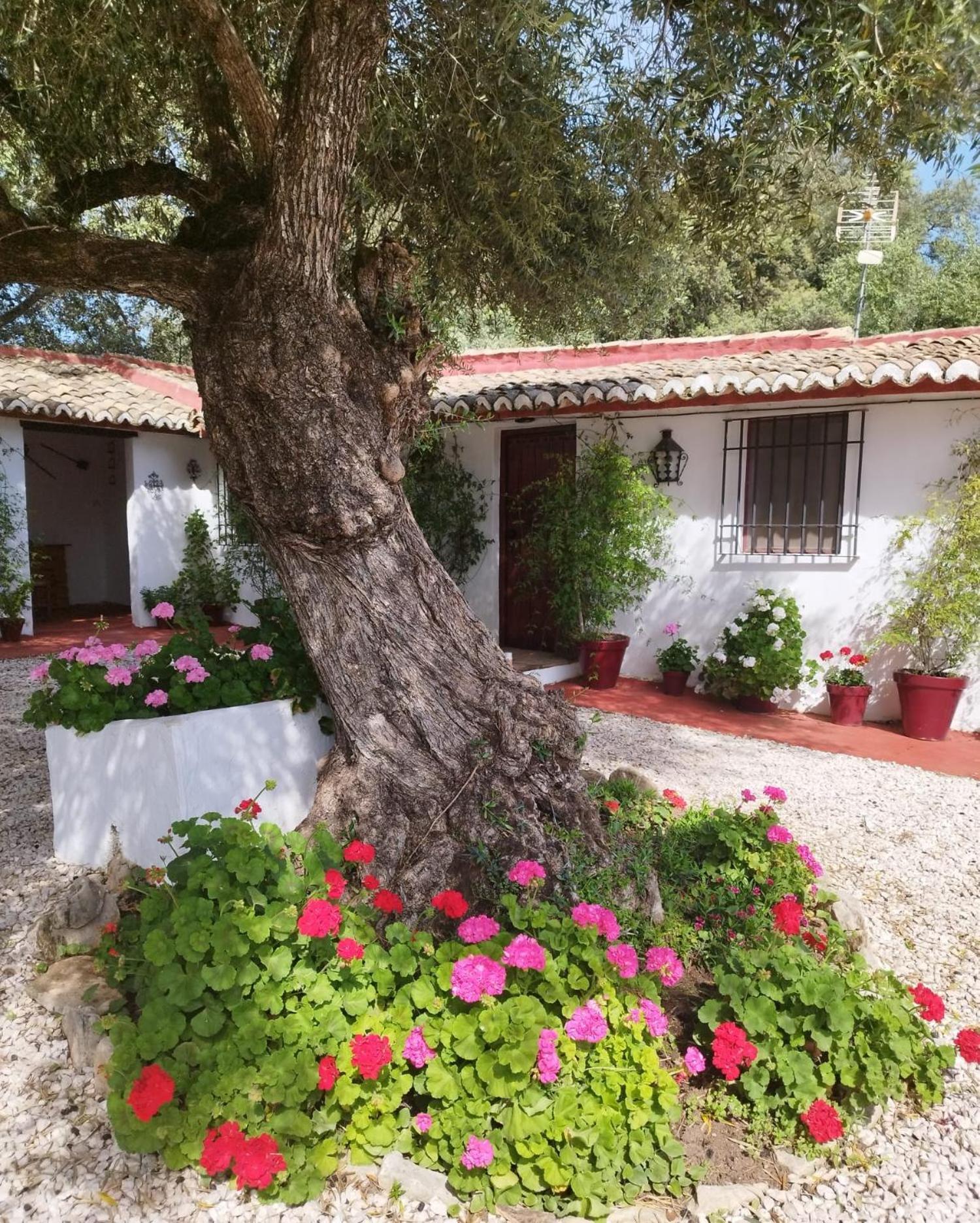 Casa Abanto Ronda Exterior foto