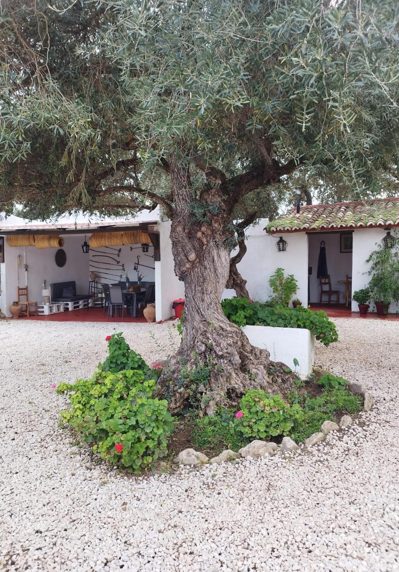 Casa Abanto Ronda Exterior foto